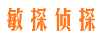 镇平侦探公司